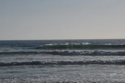 DSC_7030 (Large).JPG